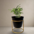 Ebony Aura Planter