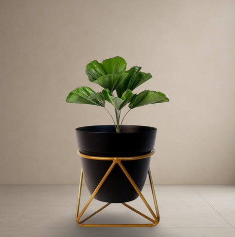 Cosmic Solstice Planter