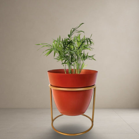 Ruby Luster Planter