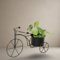 Midnight Tricycle Planter