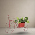 Crimson Tricycle Planter