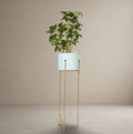 Aqua Column Planter