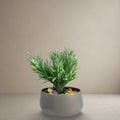 Graphite Pebble Planter