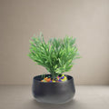 Obsidian Pebble Planter