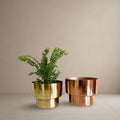 Metallic Horizon Duo [Single pot]