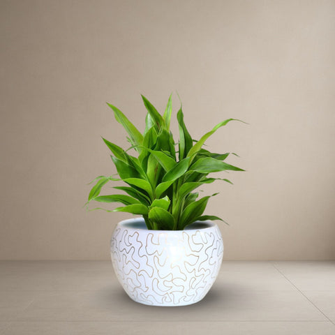Alabaster Swirl Planter