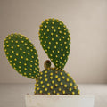 Opuntia microdasys 'Bunny Ear Cactus' - Golden Dot
[Bare Rooted]